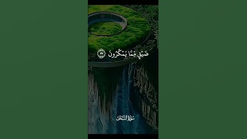 راحة للقلب… وصبر من الله 🤍 تلاوة تهز المشاعر | وصبر وما صبرك إلا بالله – خالد الجليل