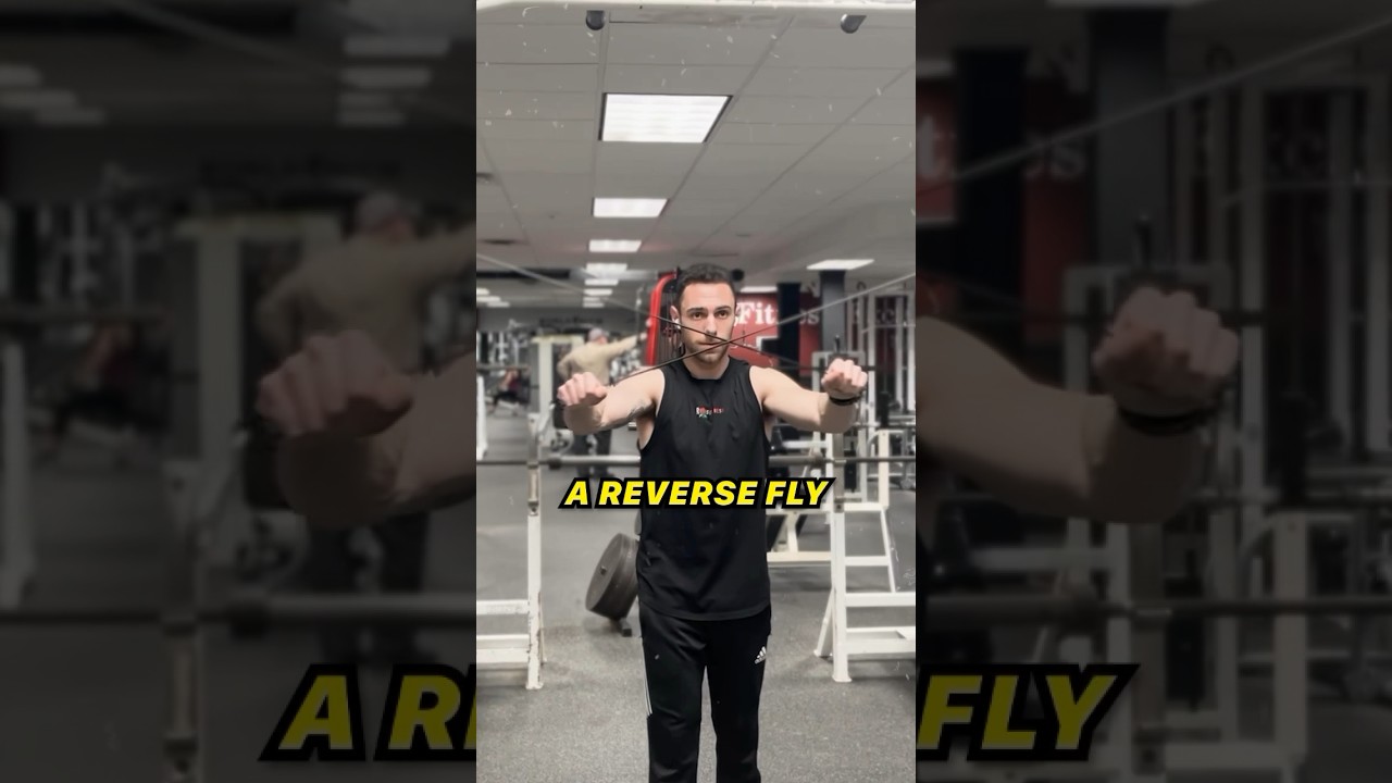 Try these cable reverse flies for the rear delts to built good posture 💪