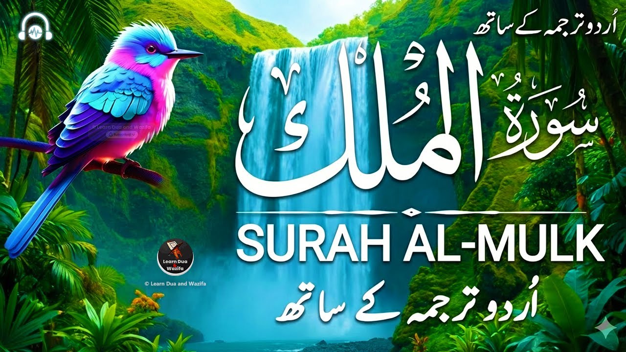 Surah Al-Mulk سورة الملك | Peaceful Quran Recitation for Deep Relaxation & Night Calm 