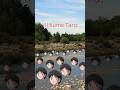Misaki si chiama come un fiume italiano! #captaintsubasa #capitantsubasa #taromisaki #taro #meme