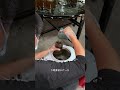 山里的土蜂蜜已经全部摇回来了 山里的蜜蜂会分蜂然后经常到处安家的 现在已经把蜂蜜摇回来了 晚上就过来打包发货 记录生活 记录真实生活 土蜂蜜 山里的土蜂蜜已经全部摇回来了 山里的蜜蜂会分蜂然后经常到处安家的 现在已经把蜂蜜摇回来了 晚上就过来打包发货 记录生活 记录真实生活 土蜂蜜