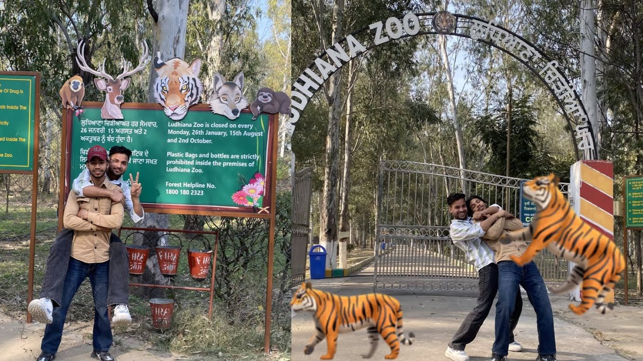 Ludhiana Zoo Ludhiana tiger safari 🐅 just siraj Vlogs famous