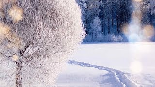 Winter slideshow with music ❄🎶🔝🕛