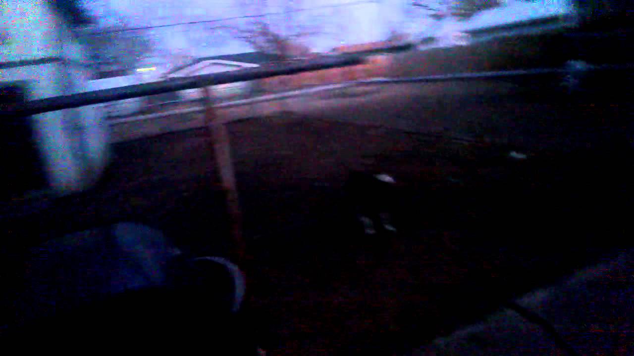 Over zealous security on the part of my smallest dogs...