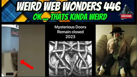 weird web wonders 446