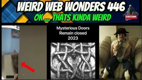 weird web wonders 446
