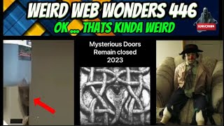 weird web wonders 446