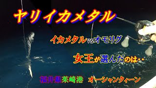 【イカメタル】ヤリイカ釣行　オモリグが勝敗を分けた