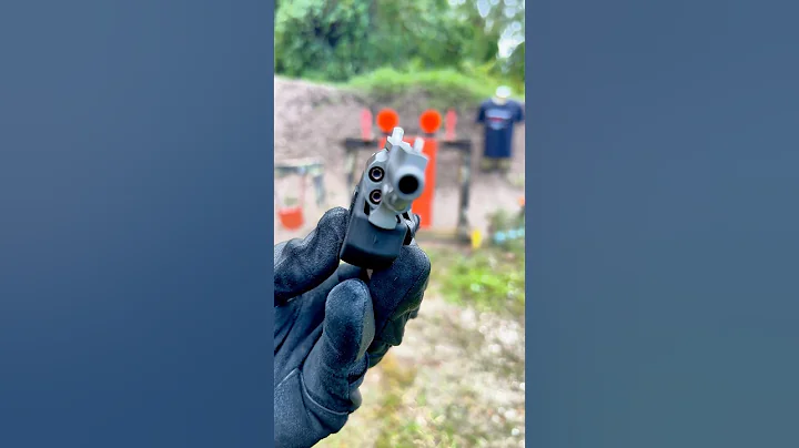 .22 MAGNUM NAA mini revolver