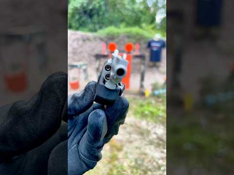 .22 MAGNUM NAA mini revolver