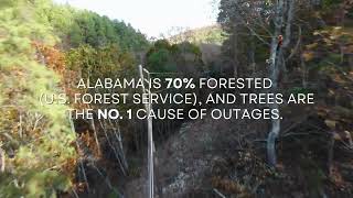 How Alabama Power Manages Trees and Rights of Way to Keep Service Reliable Profile
