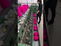 Color Changing Yarn in Motion | Temperature Reaction in Real Time #colorchangingyarn #factory