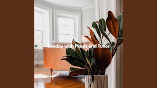 Vibrant Moods for Peaceful Codas