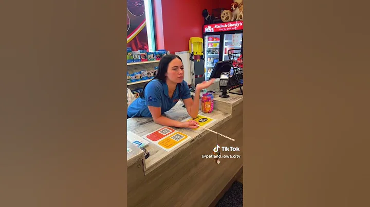 Video 10338991: ragdollkittens cat kitten