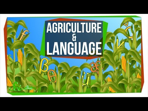 Agriculture May Have Changed How People Speak | SciShow News thumbnail