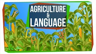 Agriculture May Have Changed How People Speak | SciShow News