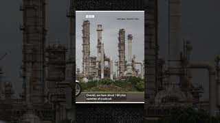 Why we need different types of oil - BBC World Service #shorts