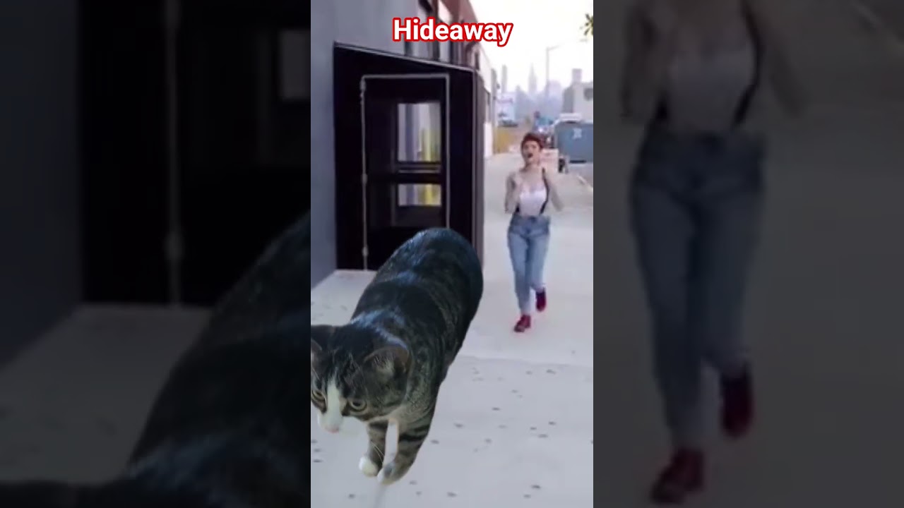 Pete the cat is a hideaway from kiesza 