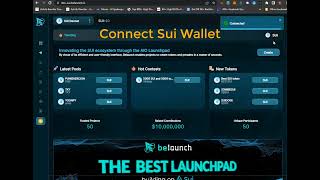 How To Create Token on BeLaunch Launchpad from Sui Wallet(Devnet)