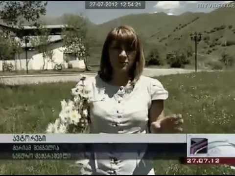 გუდაურის ზაფხულის თასი 2012