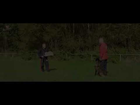 Glum Bojana Slovakia Lukavica 12 10 2025 