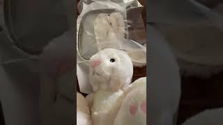 How to machine embroider on a bunnies ear