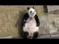 休園日の一日