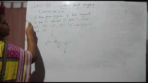 9th Maths; Lines and angles; exercise 4.4;problem 11