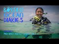 Taking the Plunge - PADI Open Water Course [4K] | Borneo Ocean Diaries (S01E01) | SZtv