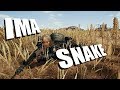 Ima Snake