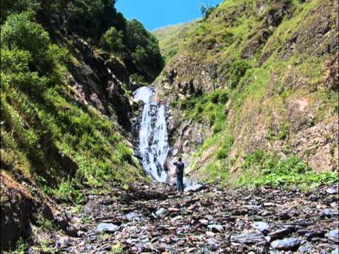 ყივჩაღის პაემანი-მაგარი ლექსია