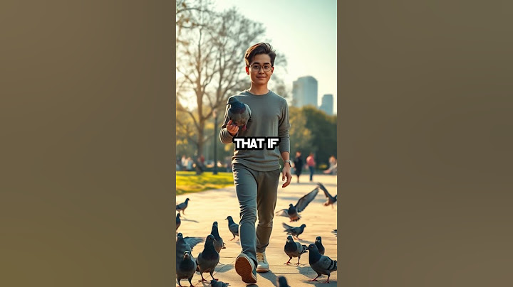 Pigeons Remember Faces: Are You a Friend or Foe?