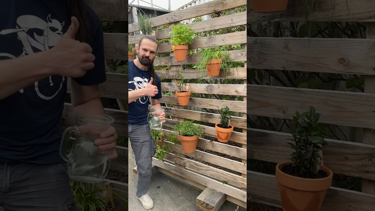 Vertical aromatic garden 