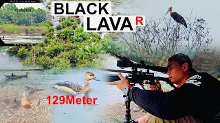 Download Lagu SESUAI TES AKURASI // GILA BLACK LAVA INI ANDALAN BUAT LONGRANGE 🔥🔥🔥 //PARD STALKER EX CANGGIH MP3