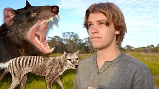 Hunt for EXTINCT Tasmanian Tiger & Devil of TASMANIA! (Thylacine)