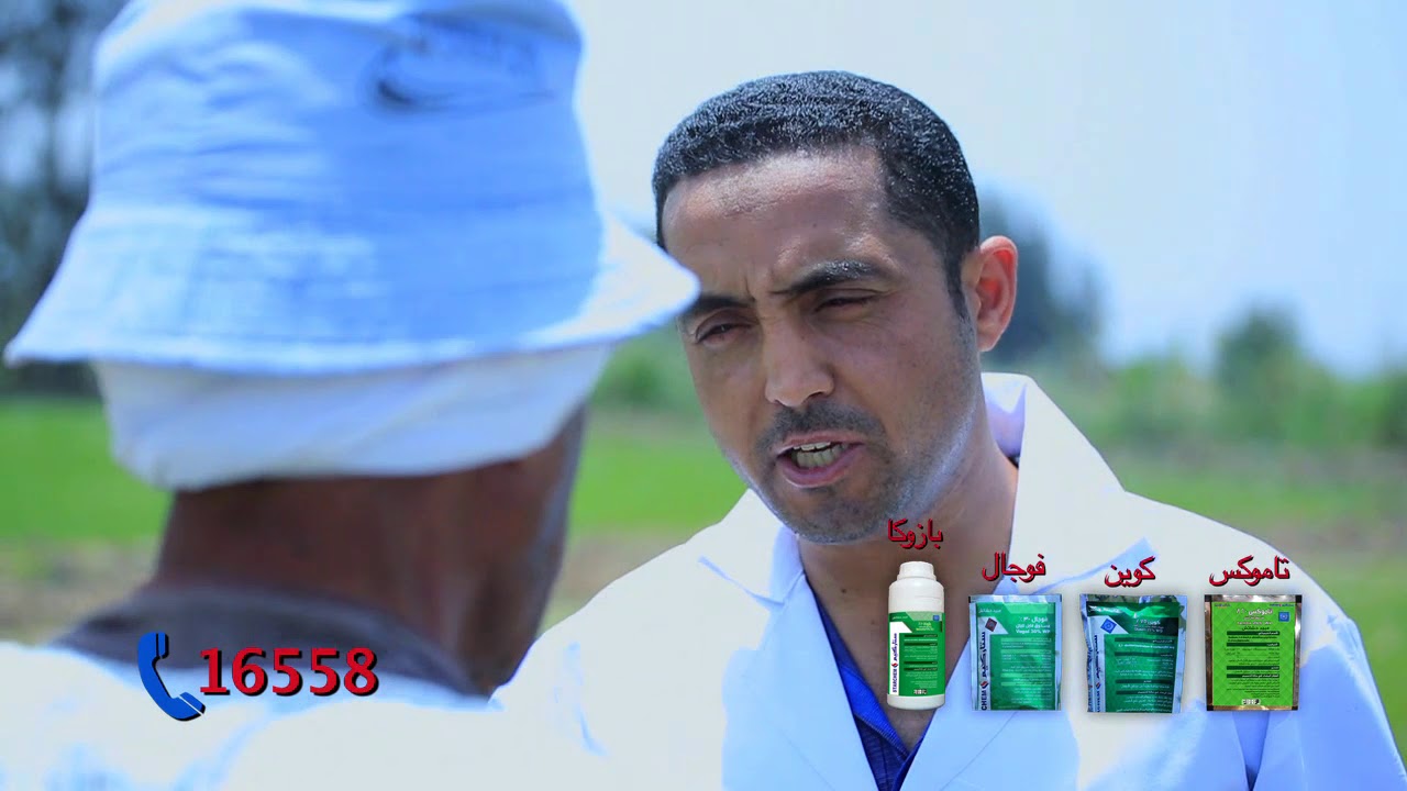 كتيبه إعدام حشائش الأرز