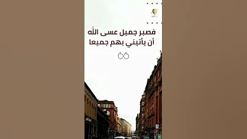 فصبر جميل عسي الله ان ياتيني بهم جميعا تلاوه رااائعه بصوت القارئ محمد هشام فذكر بالقرا ن Shorts 