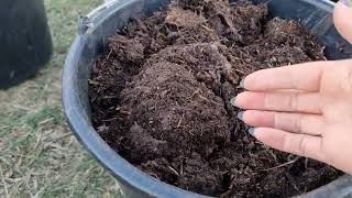 видео: ЛУЧШЕЕ УДОБРЕНИЕ. КАПРОЛИТЫ, КОМПОСТ, БИОГУМУС, ЖИЗНЬ ЧЕРВЯ В КОМПОСТНИКЕ. ОТВЕТЫ НА ВОПРОТЫ. картинка: ЛУЧШЕЕ УДОБРЕНИЕ. КАПРОЛИТЫ, КОМПОСТ, БИОГУМУС, ЖИЗНЬ ЧЕРВЯ В КОМПОСТНИКЕ. ОТВЕТЫ НА ВОПРОТЫ.