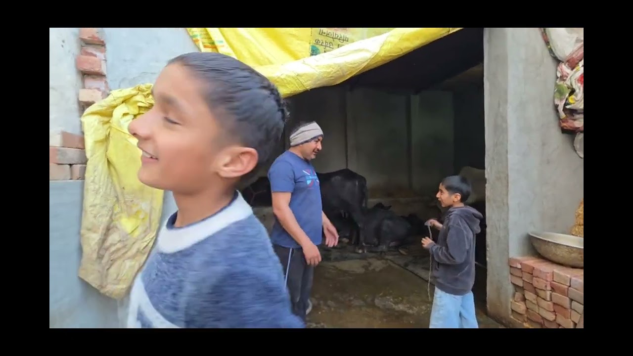 गाय के देसी घी से बने जनमजनी मां के हाथ के मालपुड़े जिस भाई को गाय का घी चाहिए सम्पर्क करे8571034867