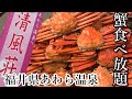 【カニ食べ放題の宿】福井県でカニ食べるならここ！カニと温泉、、もうそれだけで十分。