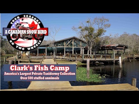 +fishing +hooks Kanama 5X Strong Fishing Hooks This lineup of hooks blue catfish hooks Model:CI30MXF Power Pro Braided Spectra