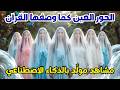 وصف الحور العين من القرآن الكريم مشاهد خيالية م ولدة بالذكاء الاصطناعي