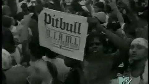 The Anthem Calabria Latino Remix    Pitbull Ft. Lil Jhon  Shydo.wmv