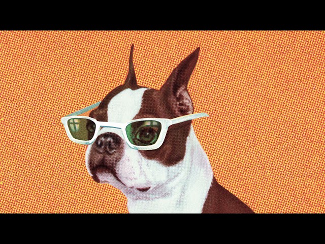 Remady - Hands Up (Give Me Your Heart) 