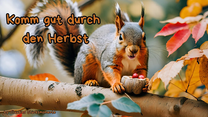 Komm gut durch den Herbst " Guten Morgen"