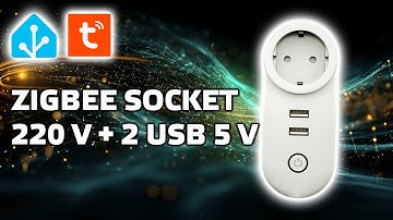 Zigbee розетка с 2 USB портами MOES для Tuya Smart, интеграция в Home Assistant