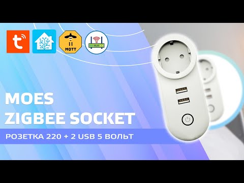 שקע Zigbee עם 2 יציאות MOES USB עבור Tuya Smart, שילוב ב-Home Assistant