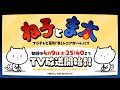ね子とま太 第69話「ハイかイイエのおはなし」