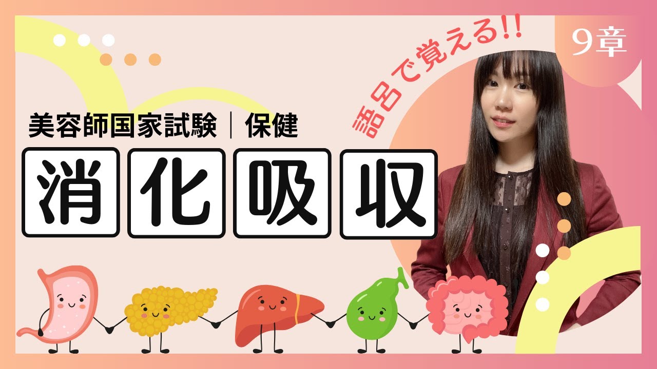 【保健｜人体】消化吸収の覚え方!!アミラーゼ、ペプシン、リパーゼなど。コラーゲンサプリの体内動態を添えて♡