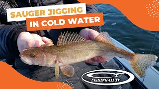 Sauger Jigging Techniques for Cold Water